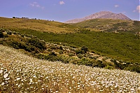 Crete_008_ji.jpg