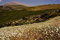 Crete_008a_ji.jpg