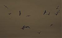 Dateiname=Norwegen_019_ji.jpg
Dateigröße=158KB
Abmessungen: 1800x1106
hinzugefügt am: 15. Januar 2020 Norwegen_019_ji.jpg