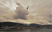 Dateiname=Norwegen_036_ji.jpg
Dateigröße=377KB
Abmessungen: 1800x1114
hinzugefügt am: 15. Januar 2020 Norwegen_036_ji.jpg
