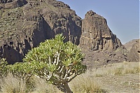 Gran_Canaria_007_ji.jpg