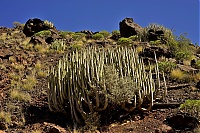 Gran_Canaria_014_ji.jpg