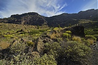 Gran_Canaria_024_ji.jpg