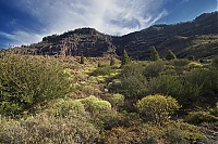 Gran_Canaria_027_ji.jpg