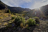 Gran_Canaria_028_ji.jpg