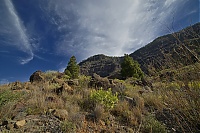 Gran_Canaria_029_ji.jpg