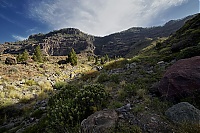 Gran_Canaria_030_ji.jpg