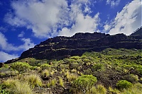 Gran_Canaria_059_ji.jpg