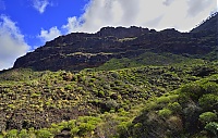 Gran_Canaria_060_ji.jpg