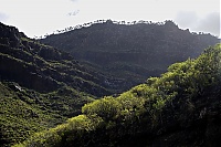 Gran_Canaria_064_ji.jpg