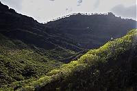 Gran_Canaria_065_ji.jpg