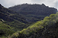 Gran_Canaria_066_ji.jpg