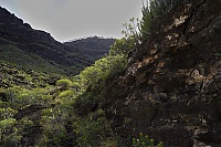 Gran_Canaria_069_ji.jpg