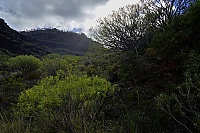 Gran_Canaria_070_ji.jpg