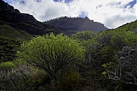 Dateiname=Gran_Canaria_071_ji.jpg
Dateigröße=757KB
Abmessungen: 1600x1068
hinzugefügt am: 24. Januar 2020 Gran_Canaria_071_ji.jpg
