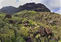 Gran_Canaria_072-074_ji.jpg