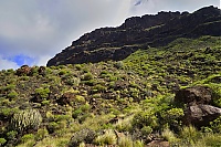 Gran_Canaria_075_ji.jpg