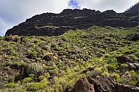 Gran_Canaria_076_ji.jpg