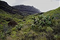 Gran_Canaria_078_ji.jpg