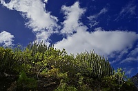 Gran_Canaria_080_ji.jpg