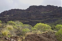 Gran_Canaria_083_ji.jpg