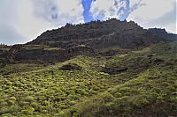 Gran_Canaria_089_ji.jpg