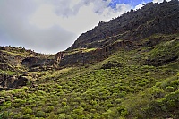 Gran_Canaria_093_ji.jpg