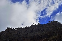 Gran_Canaria_095_ji.jpg