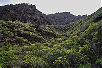 Gran_Canaria_098_ji.jpg