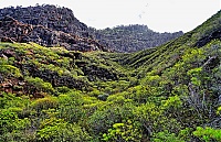 Gran_Canaria_099_ji.jpg