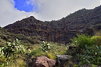 Gran_Canaria_105_ji.jpg