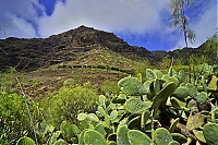 Gran_Canaria_112_ji.jpg