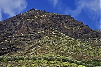 Gran_Canaria_115_ji.jpg