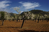 2016_Mallorca_022_ji.jpg