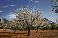 2016_Mallorca_029_ji.jpg