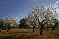 2016_Mallorca_033_ji.jpg