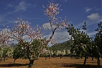 2016_Mallorca_037_ji.jpg