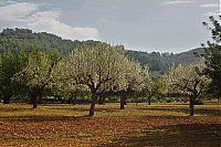 Dateiname=2016_Mallorca_041_ji.jpg
Dateigröße=1160KB
Abmessungen: 1600x1068
hinzugefügt am: 25. Januar 2020 2016_Mallorca_041_ji.jpg