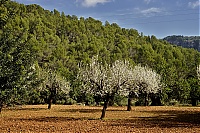 2016_Mallorca_042_ji.jpg