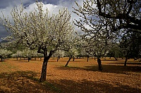 2016_Mallorca_045_ji.jpg