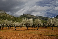 2016_Mallorca_046_ji.jpg