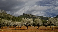 2016_Mallorca_046a_ji.jpg