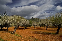 2016_Mallorca_047_ji.jpg