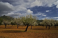 2016_Mallorca_048_ji.jpg