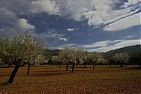 Dateiname=2016_Mallorca_049_ji.jpg
Dateigröße=872KB
Abmessungen: 1600x1068
hinzugefügt am: 25. Januar 2020 2016_Mallorca_049_ji.jpg
