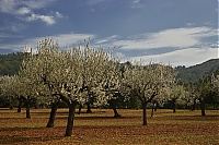 2016_Mallorca_050_ji.jpg