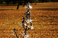 2016_Mallorca_052_ji.jpg