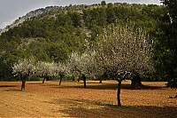 2016_Mallorca_053_ji.jpg