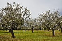 2016_Mallorca_057_ji.jpg