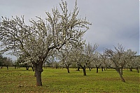 2016_Mallorca_058_ji.jpg